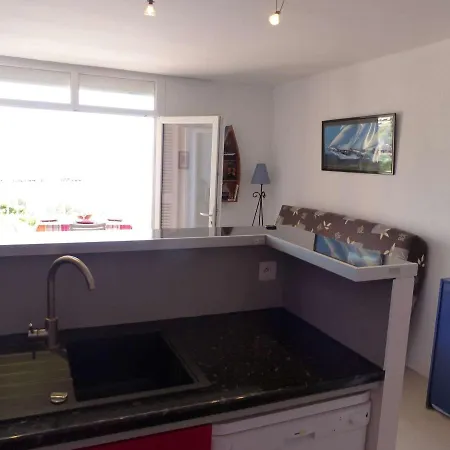 Lumineux Pieds Dans L'eau Au Lavandou - Fr-1-308-61